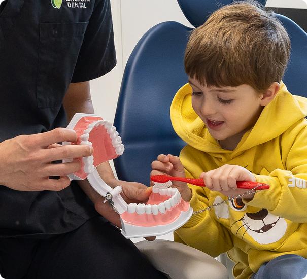 kid is practicing teeth brushing on a typodont while the dentist is holding it